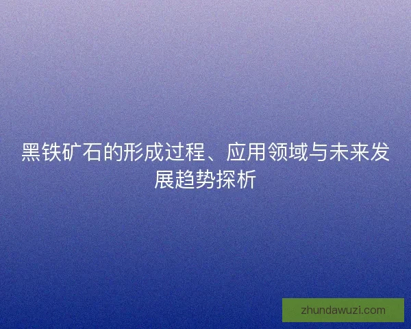 黑铁矿石的形成过程、应用领域与未来发展趋势探析